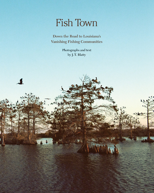 Cover for Fish Town