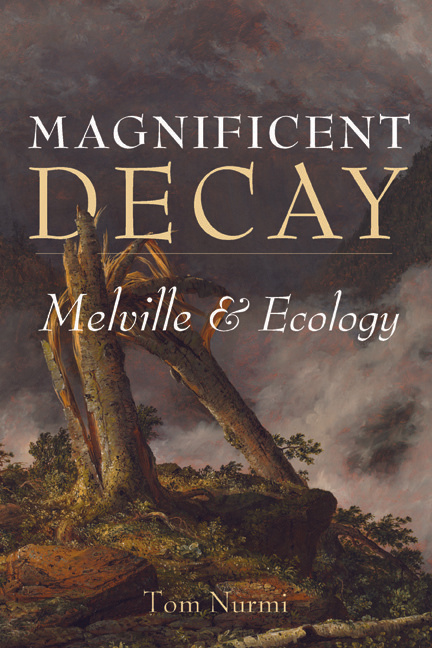 Cover for Magnificent Decay