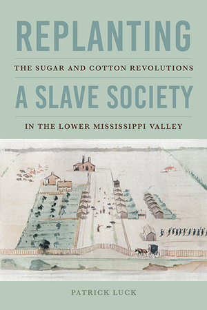 Cover for Replanting a Slave Society