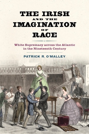Cover for The Irish and the Imagination of Race