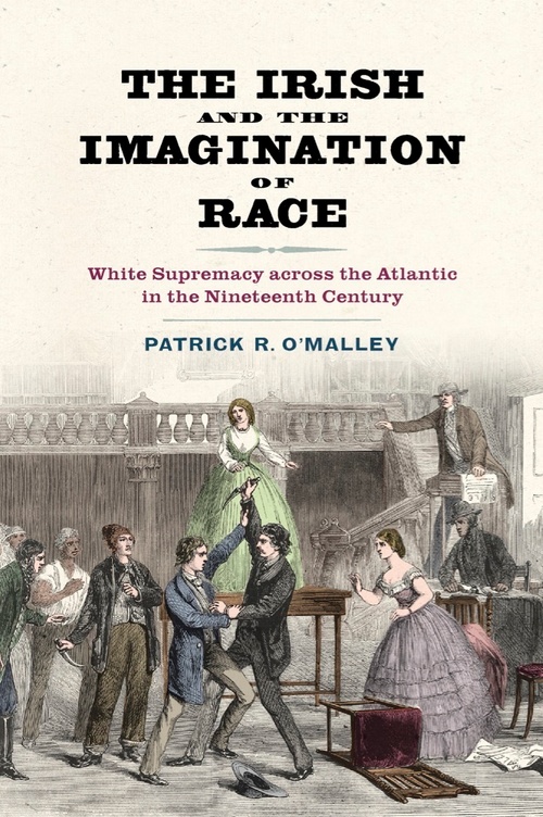Cover for The Irish and the Imagination of Race