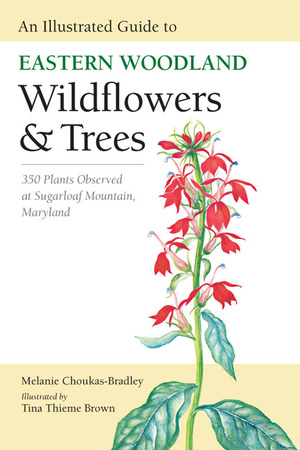 Wildflowers Across Washington Poster