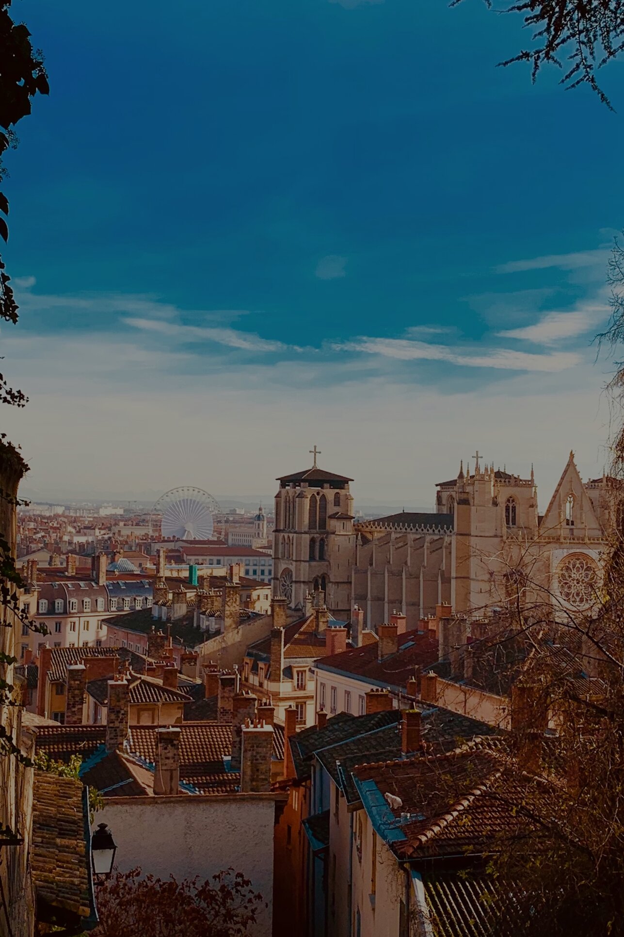 Lyon stad