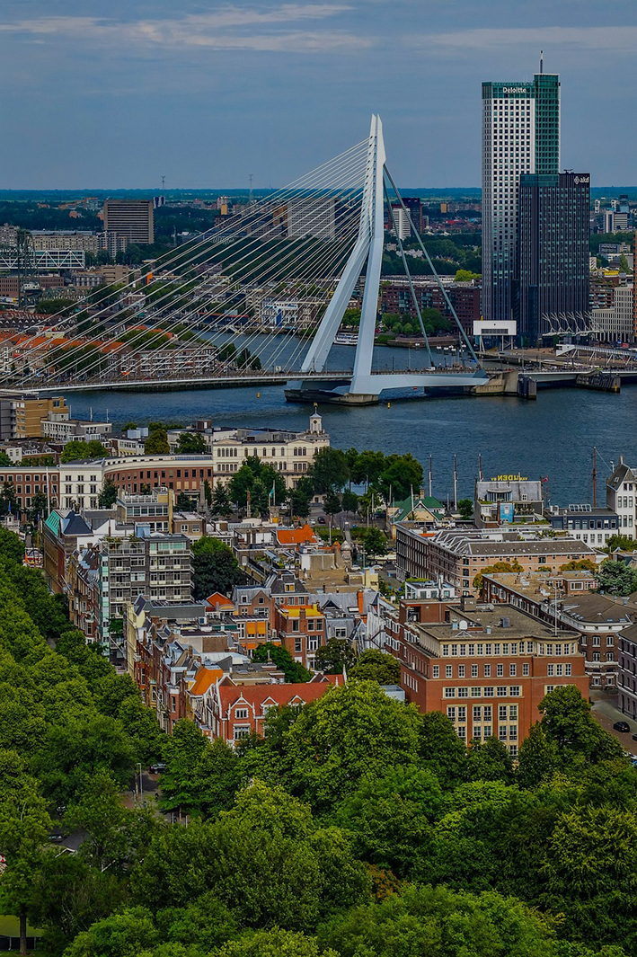 Rotterdam stad