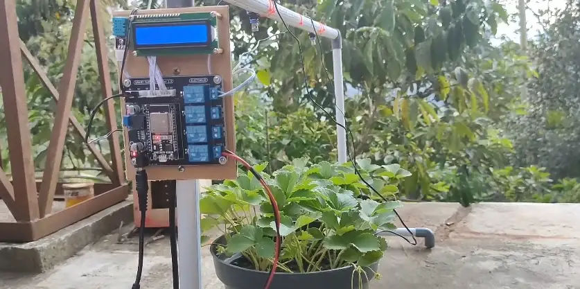 iot sensor pertanian