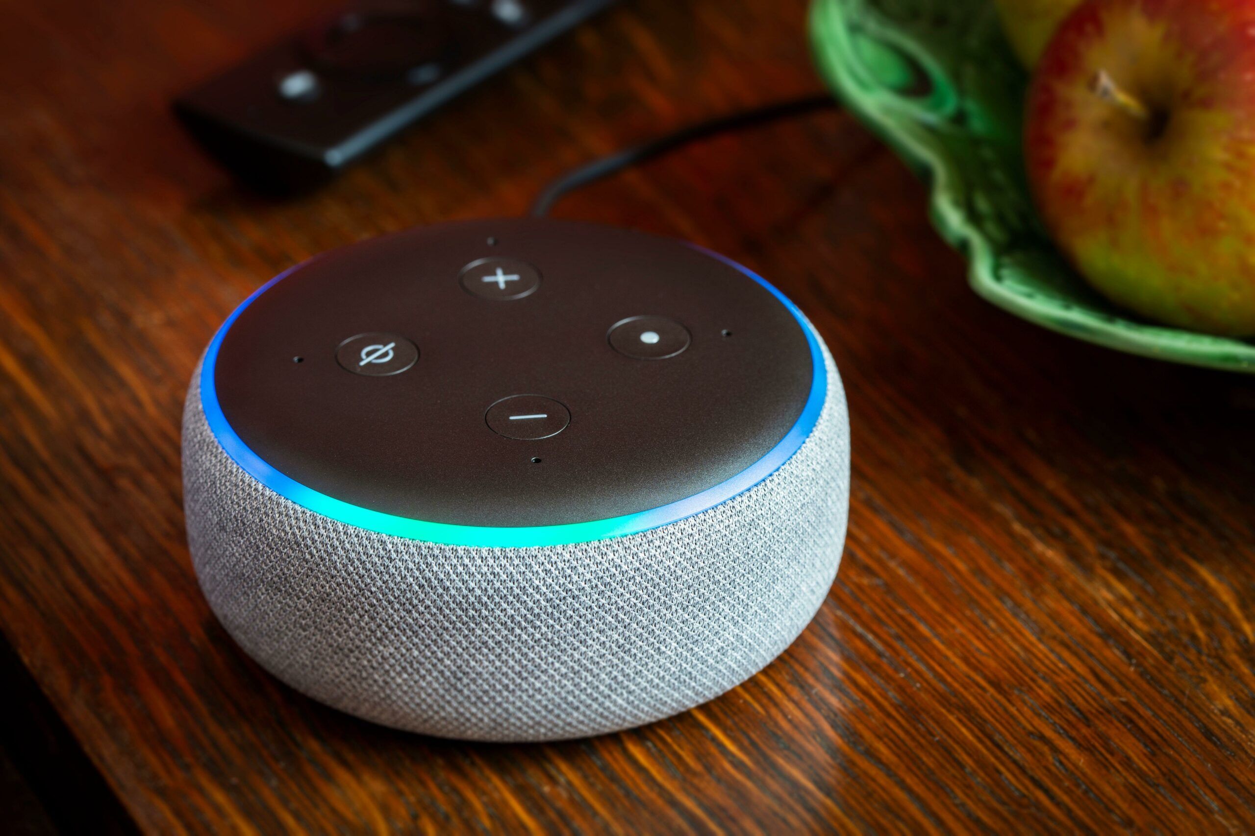 Experts warn people not to put  Echo Alexa devices in their