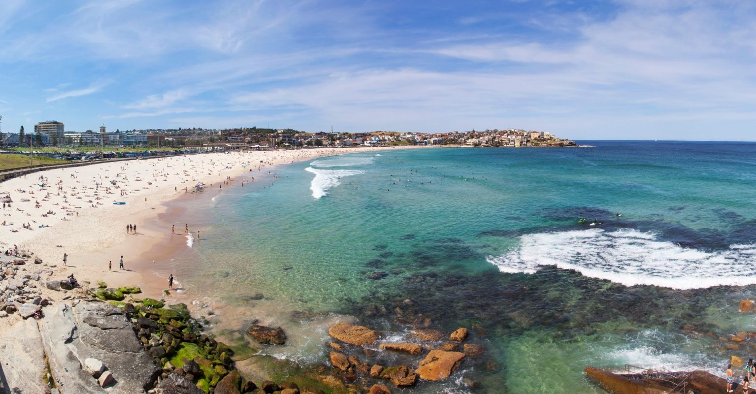 BluebottleWatch: A new research project to develop a bluebottle prediction  tool for our beaches - Surf Life Saving