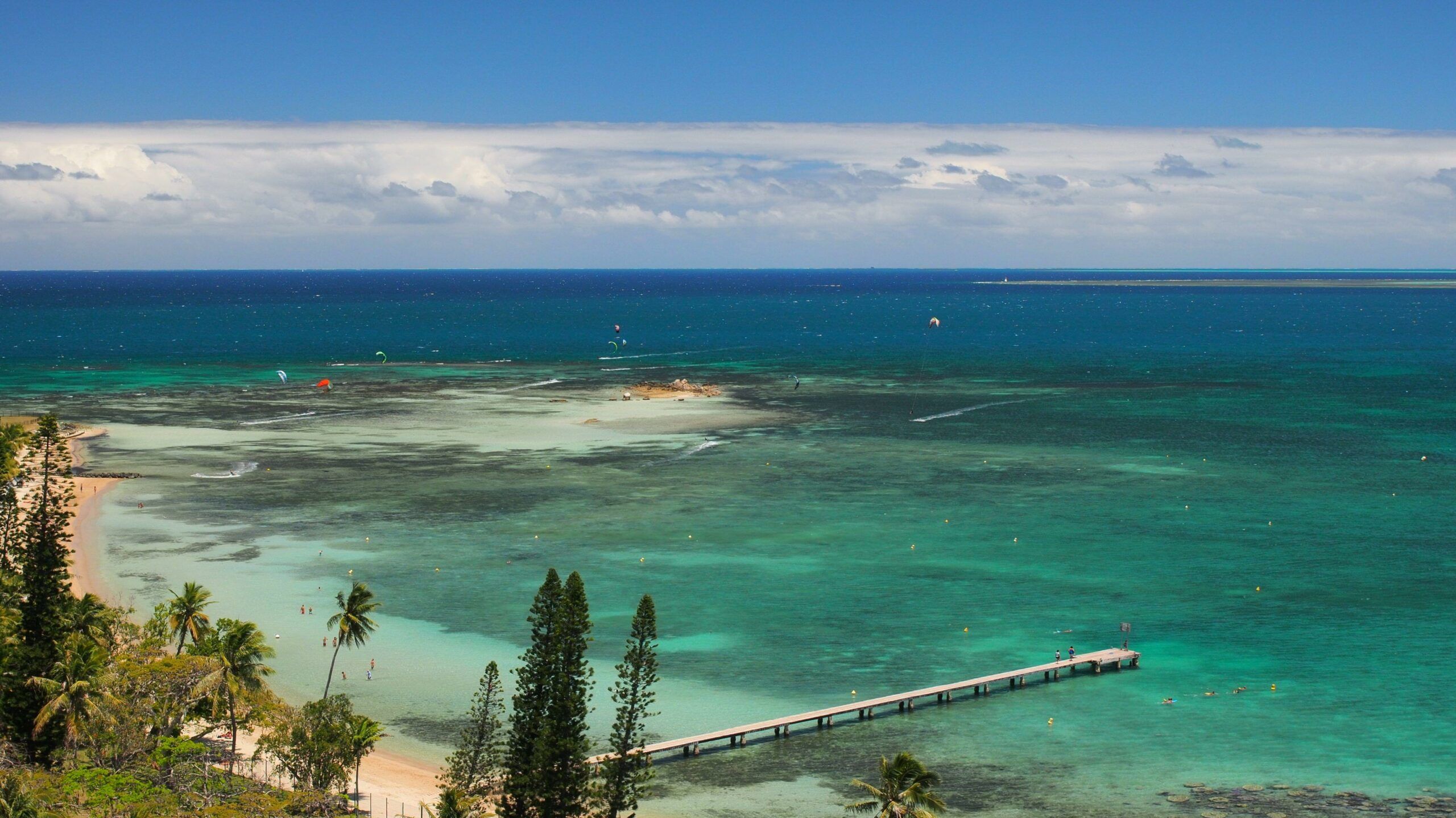 New Caledonia beach where Australian father Chris Davis mauled to death by  shark closed for a year