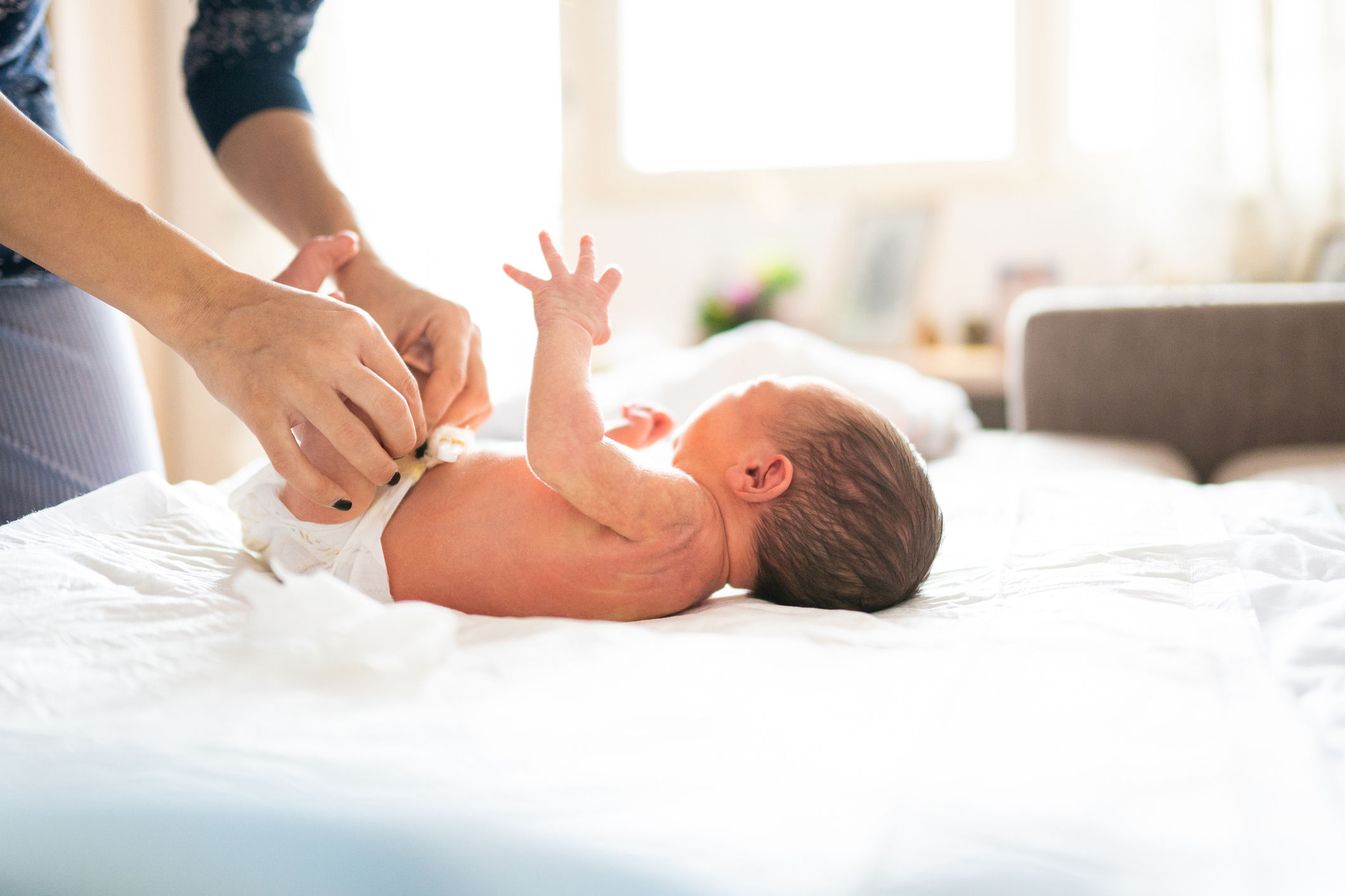 size-full wp-image-1263222265