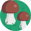 Mushroom Icon