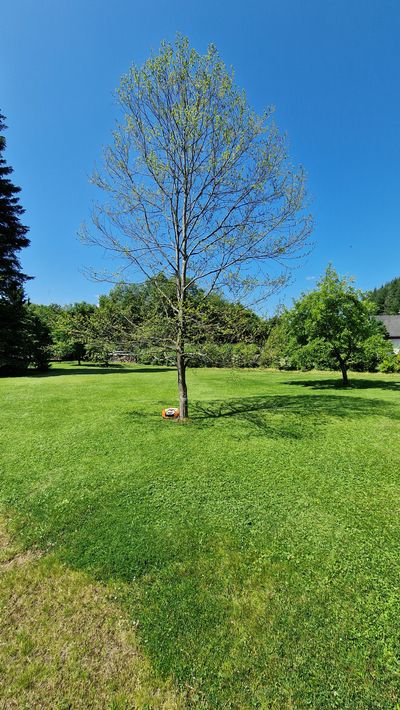 Garten Bild 13
