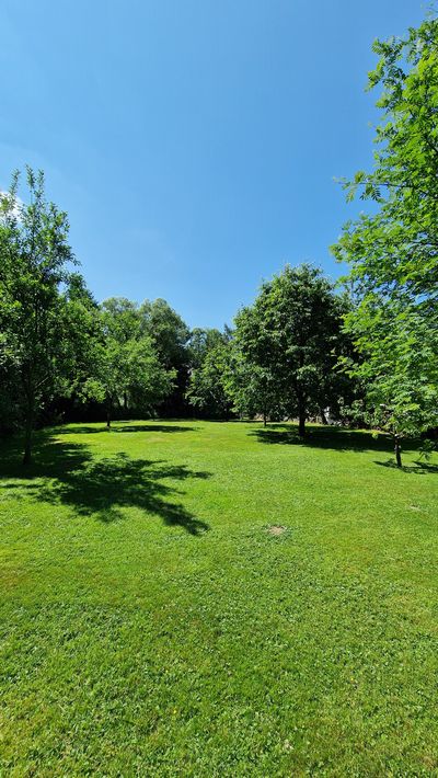 Garten Bild 11
