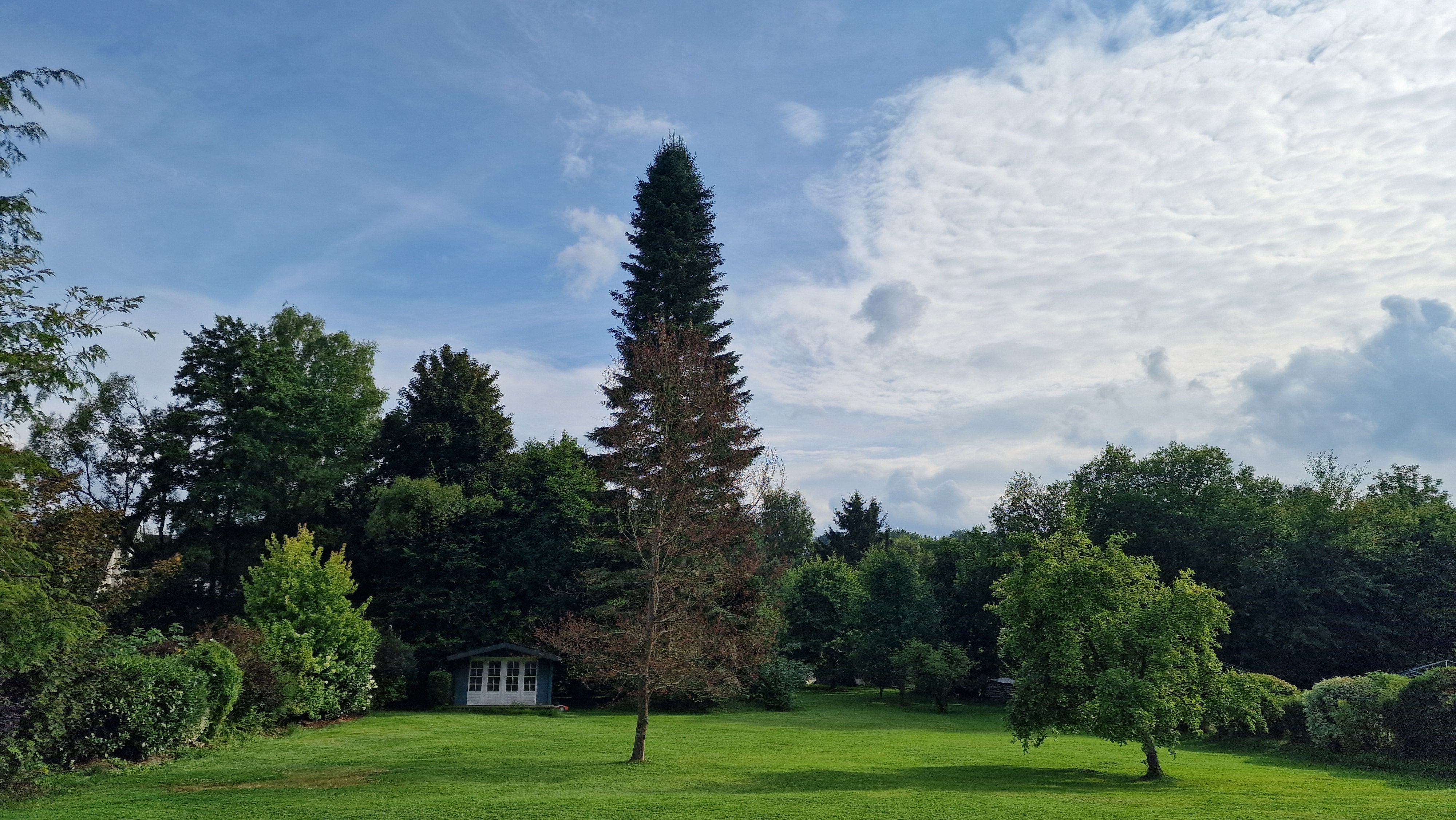Natur in Wilnsdorf