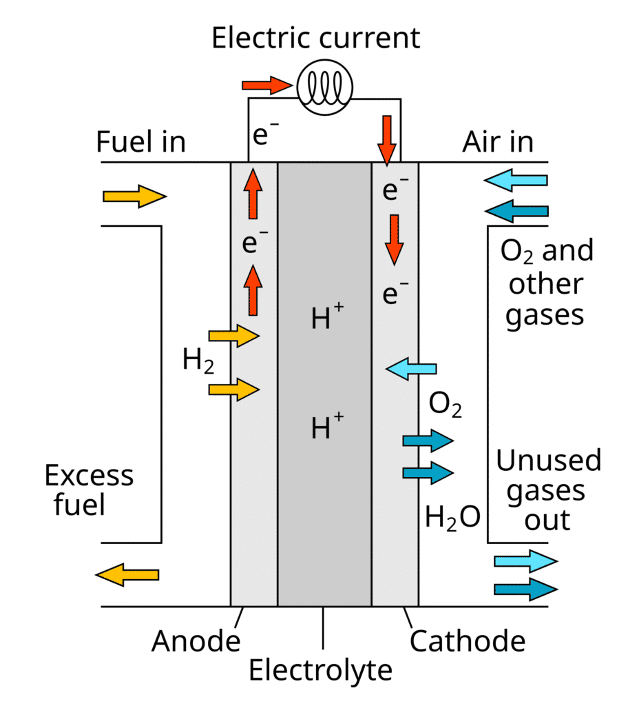Diagram of hydrogen fuel cell operation.