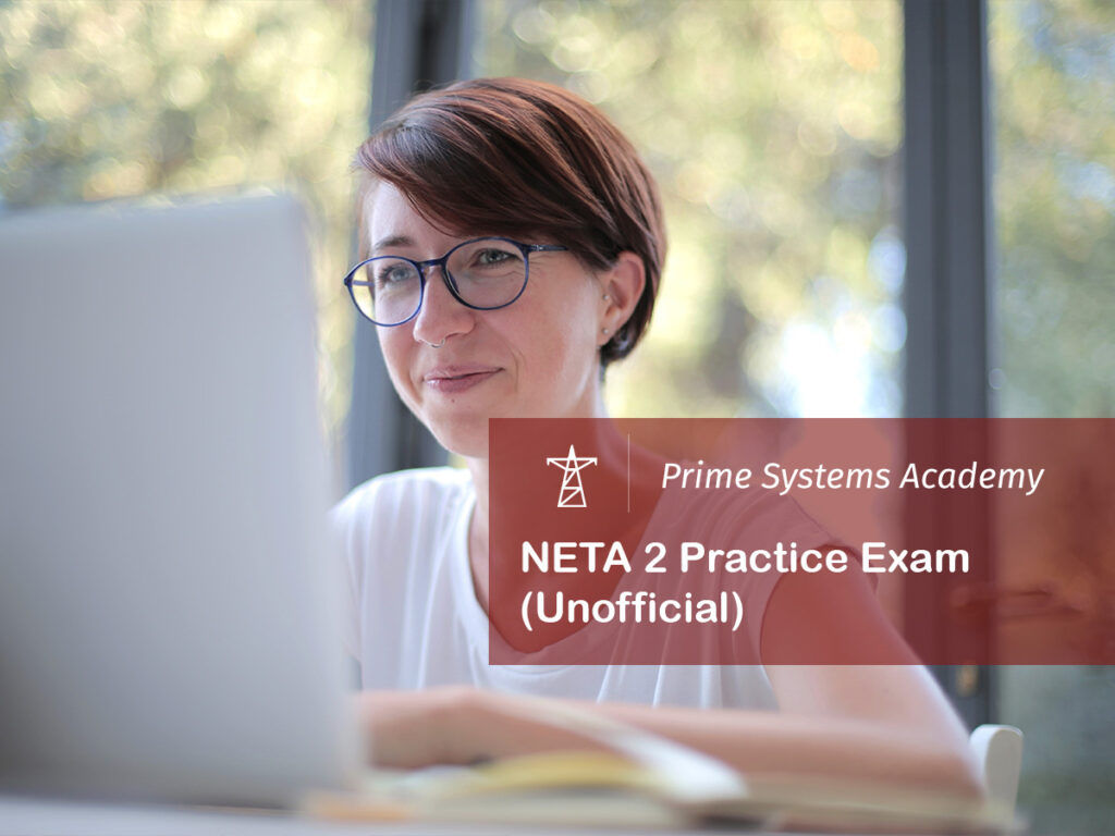 Person studying NETA 2 practice exam online