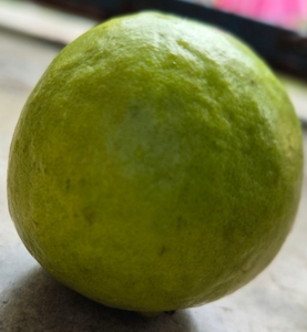 படம் 2