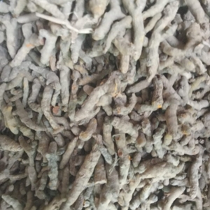 ಟರ್ಮರಿಕ್