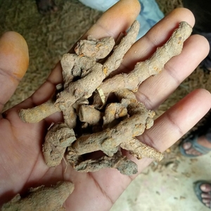 ഫോട്ടോ 2