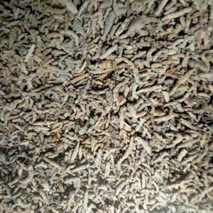 ഫോട്ടോ 3