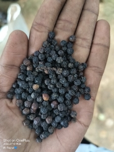 फोटो 5