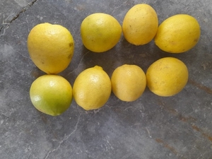 ഫോട്ടോ 2