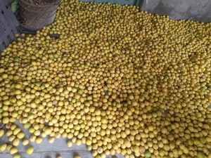 ഫോട്ടോ 4