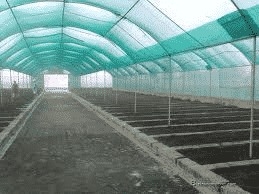 वर्मीकम्पोस्ट