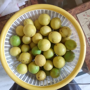 எலுமிச்சை