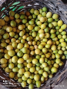 எலுமிச்சை