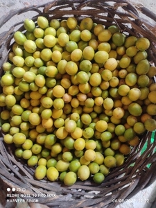 எலுமிச்சை
