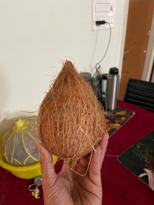 தேங்காய்