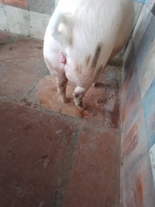 ఫోటో 2