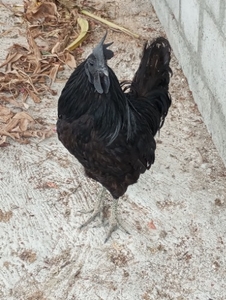 ಫೋಟೋ 2