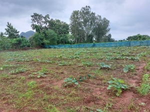 ഫോട്ടോ 3