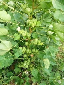 ഫോട്ടോ 2