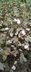 ഫോട്ടോ 3