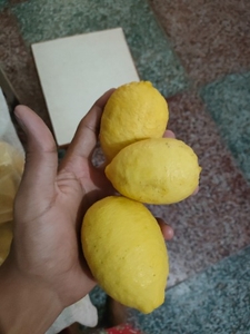 எலுமிச்சை