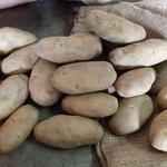 Buy Panni Mix Bavarian Potato Dumpling (Pack of 6) Online at desertcartINDIA