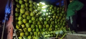 നാളികേരം