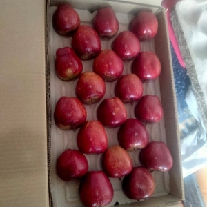 ஆப்பிள்