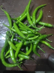 പച്ചമുളക്