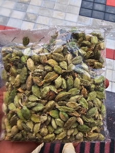 యాలకులు