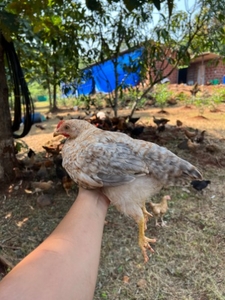 ഫോട്ടോ 2