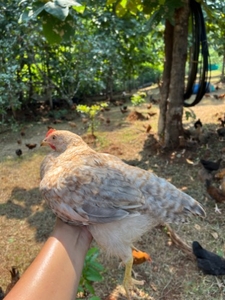 ഫോട്ടോ 3