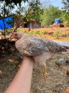 ഫോട്ടോ 4