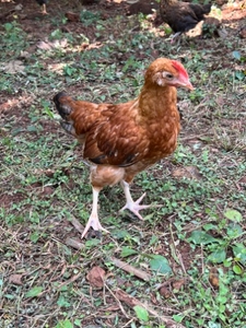ഫോട്ടോ 5