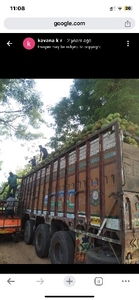ತೆಂಗಿನಕಾಯಿ