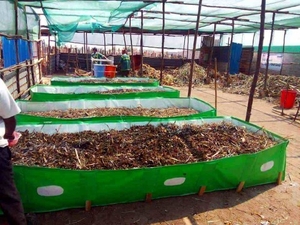 Vermicompost