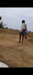 धन