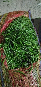 పచ్చి మిరపకాయ